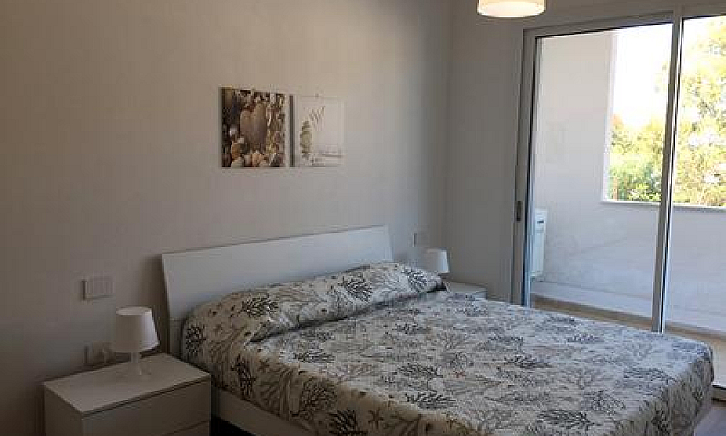 Nuovo Trivano Torreg...