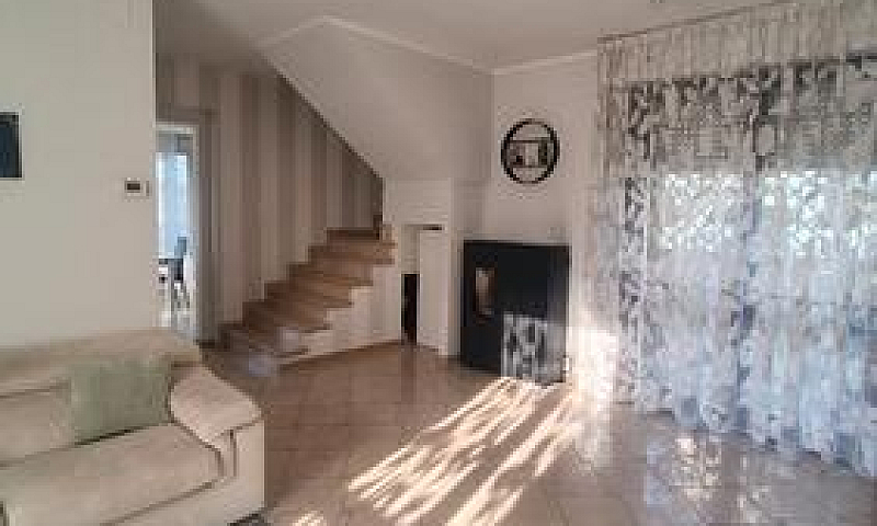 Ampio Duplex Zona Tr...