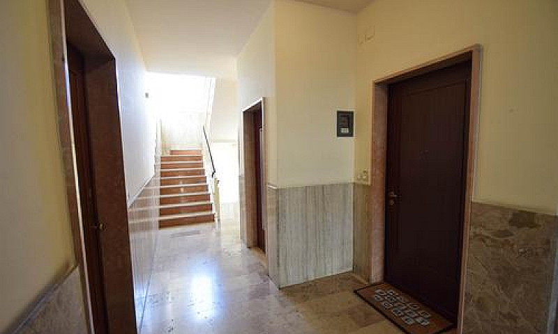 Rif.2460Ra65202| App...