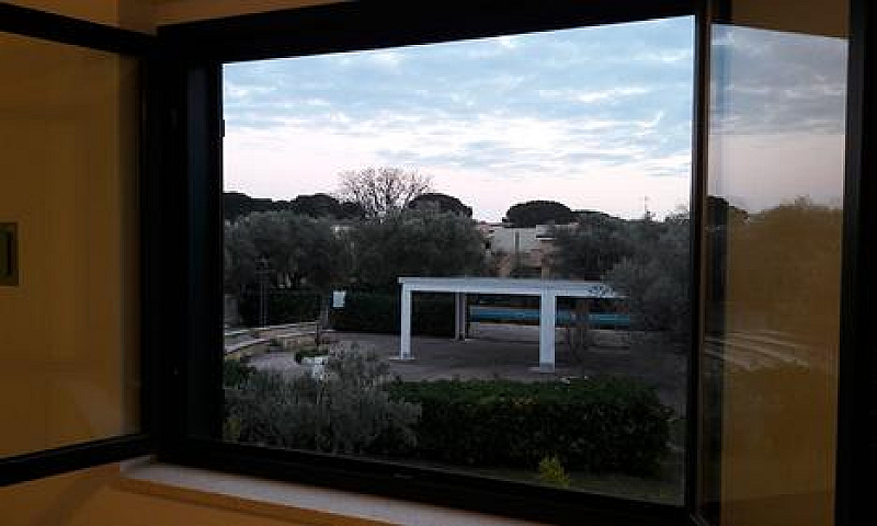 S. Andrea Apostolo D...