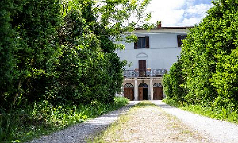 Appartamento A Ascia...