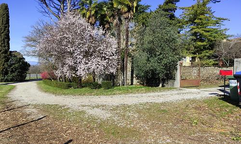 Rustico A Tricesimo...
