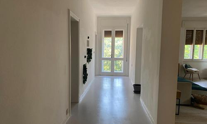 Viale Venezia: Appar...