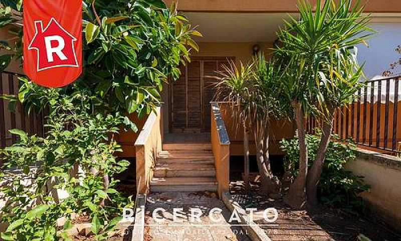 Piano Terra Con Tave...
