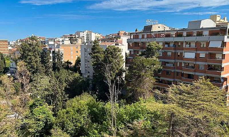 Adiacente Viale Umbe...