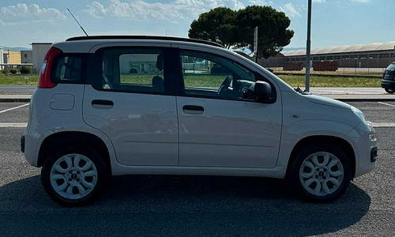 Panda Metano...