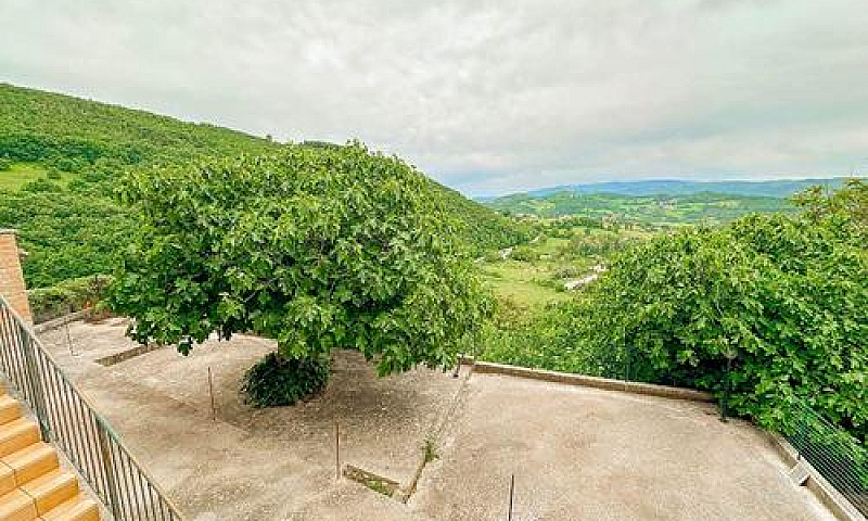Casa E Terreno A Noc...