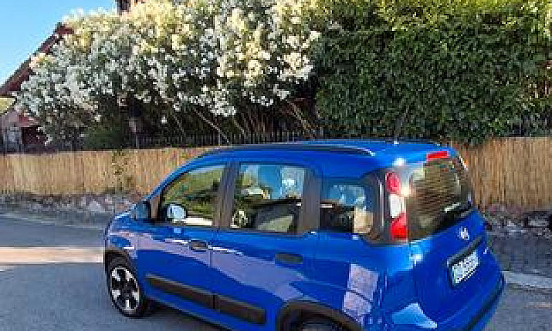 Panda Cross Hybrid...