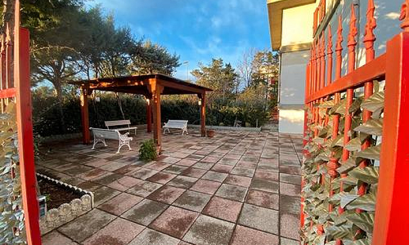 Marina Di Chieuti (F...