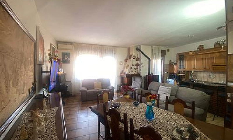 Zona San Pietro-116M...