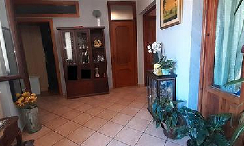 Pellezzano Centro - ...