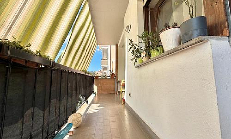 Zona Capretta - 5 Lo...