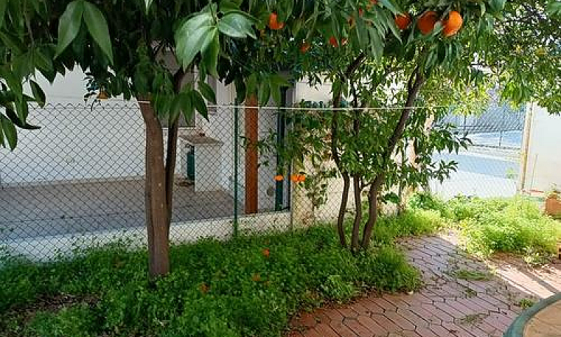Appartamento P.t. Vi...