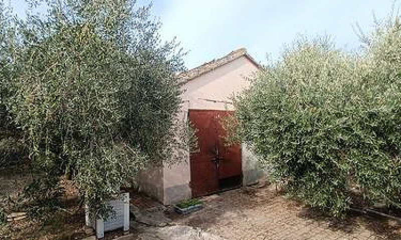 Casa Indipendente Co...