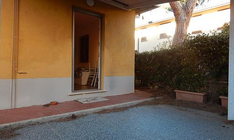 M144-M.castagneto-Tr...