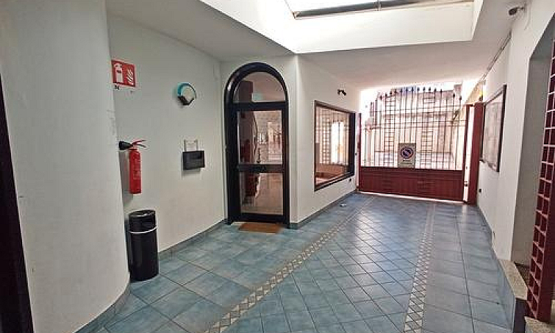 Appartamento - Viale...
