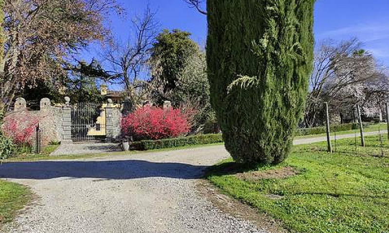 Rustico A Tricesimo...