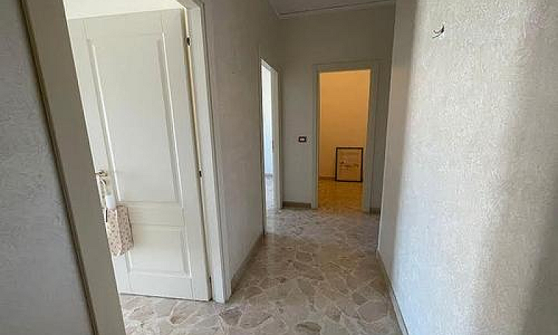 Ampio Quadrivani Vis...