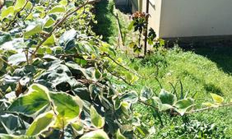 Viale Sardegna...