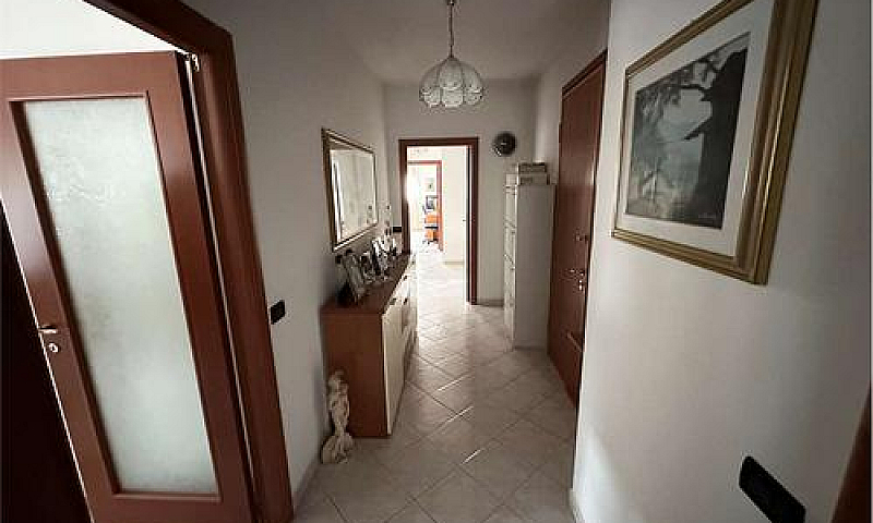 Mogliano Veneto Ulti...