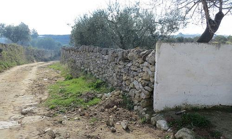 Casale Con Terreno E...