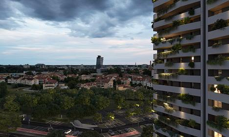 Zairo Urban Forest |...