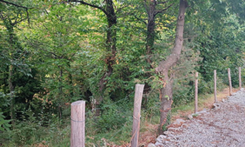 Bilocale + Terreno...