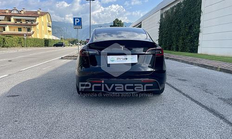 Tesla Model Y Perfor...