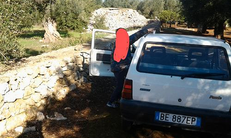 Fiat Panda 1ª Serie ...