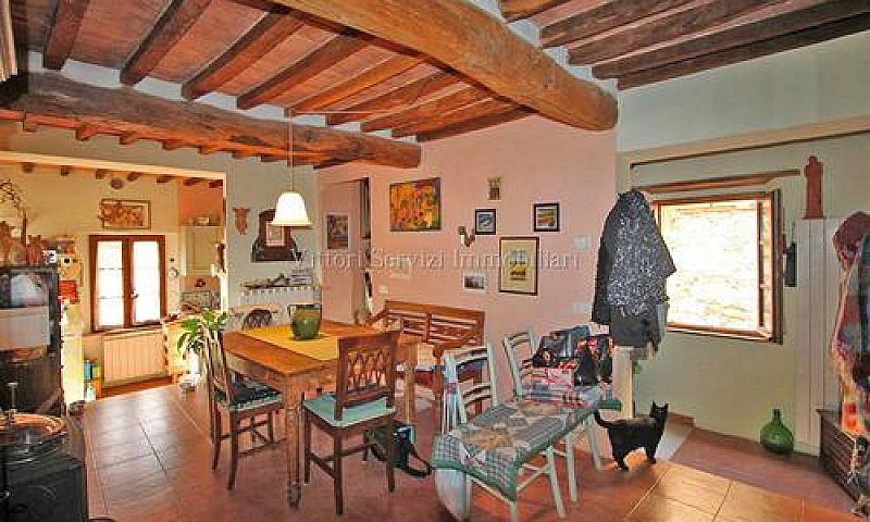 Trequanda (Si), Loc....