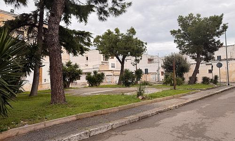 Indipendente Con Gia...