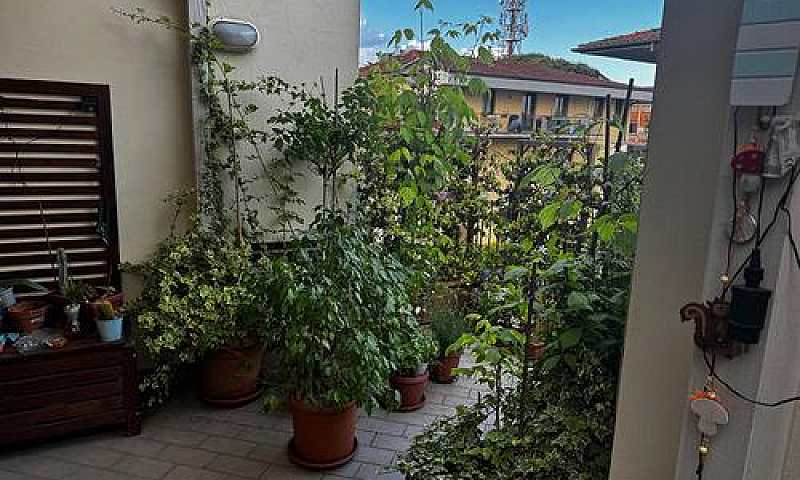 Lucca Appartamento C...