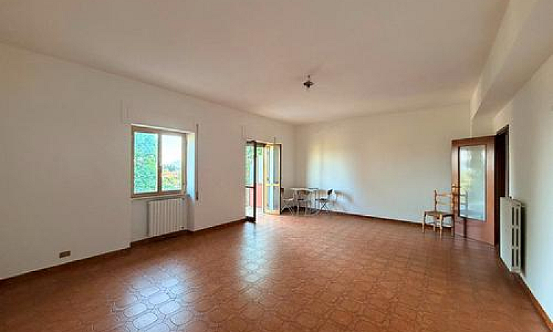 Palestrina: Ampio Tr...