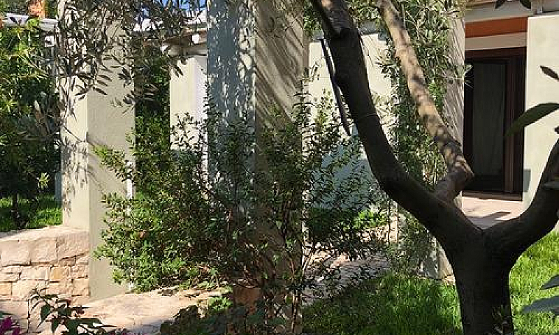 Privato:-Borgo Argon...