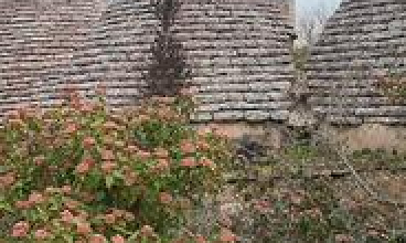 Trulli Lamie...