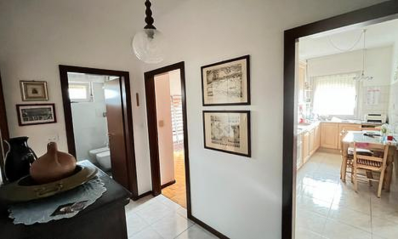 Lavis Panoramico App...