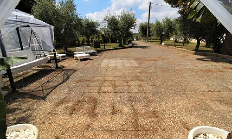 Villa Singola Con Am...