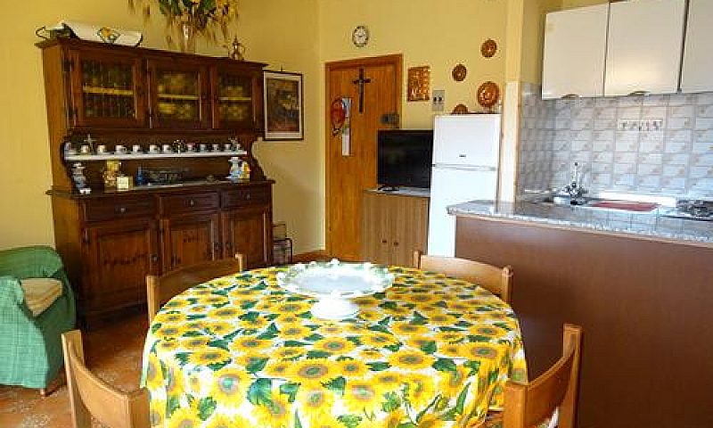 Cecina Mare 400Mt Ma...