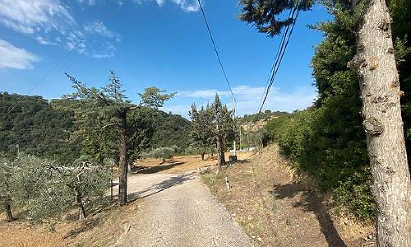 Campagna Con Apparta...