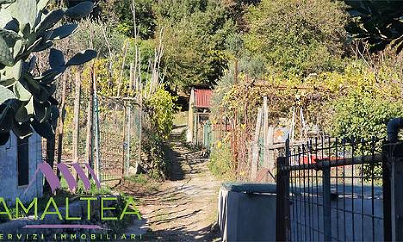 Terreno Con Baracca ...