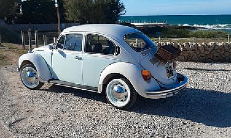 Volkswagen Maggiolin...