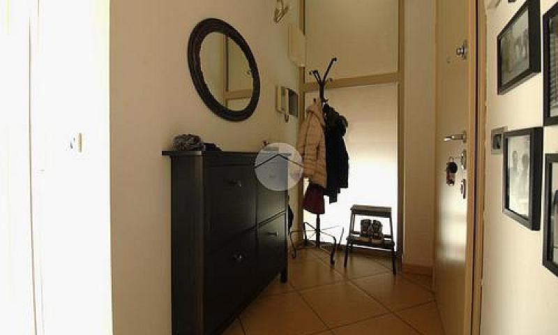 3 Locali A Romano Di...