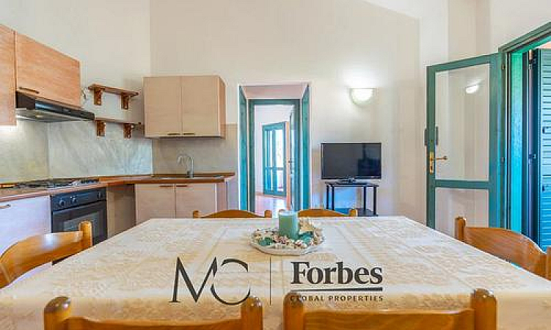 San Teodoro | Triloc...