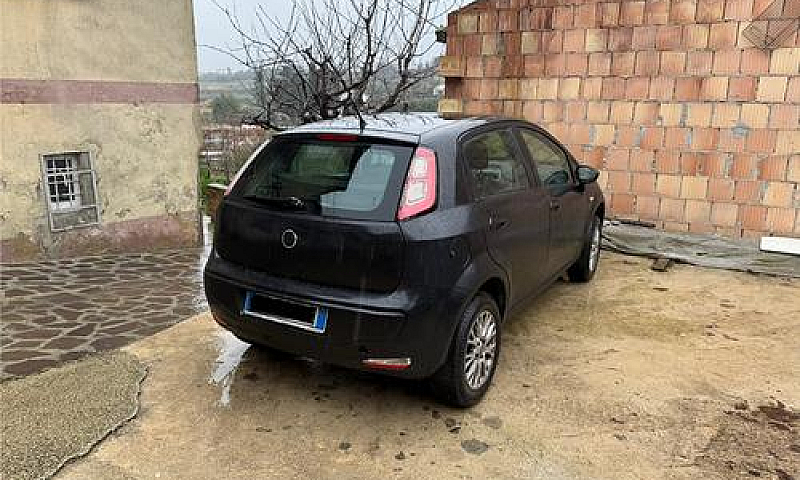 Punto Evo Natural Po...