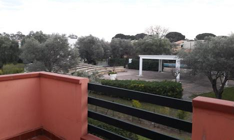 S. Andrea Apostolo D...