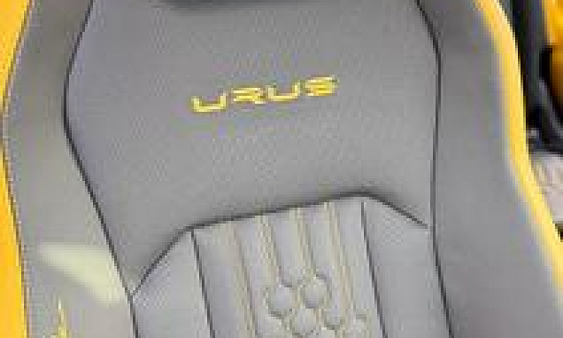 Ursu Performante...