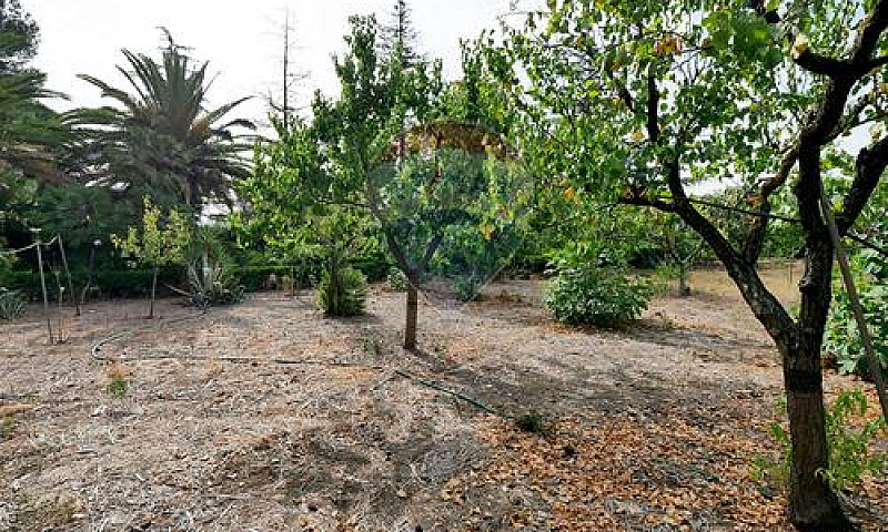 Appartamento - Barle...