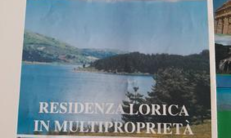 Multiproprietà 1° Se...