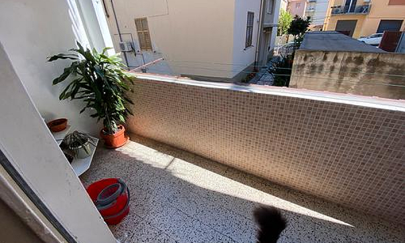 Zona Nuova...