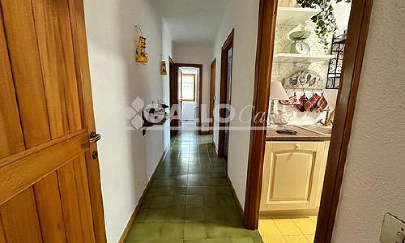 Appartamento - Spezz...
